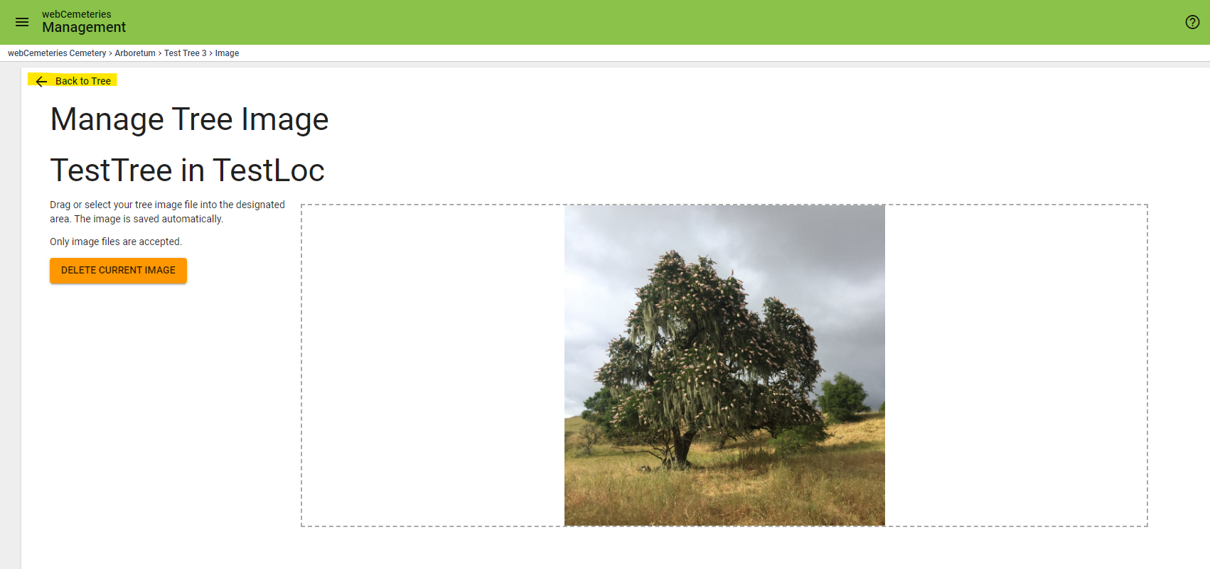 How to Add a Tree Profile Photo in the Arboretum Module
